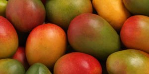 Propiedades del Mango
