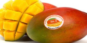 Mangos de Valencia
